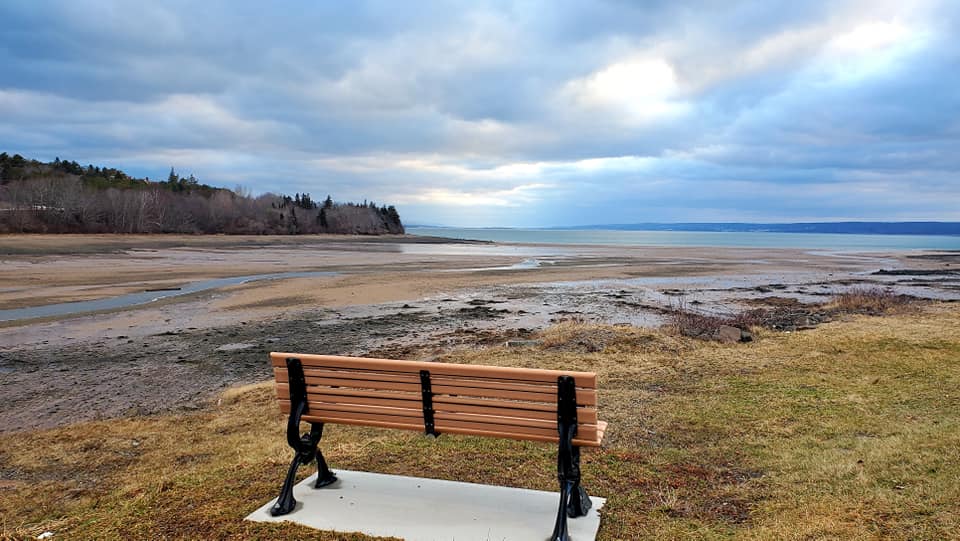 Neil_Pothier_Image_march_1